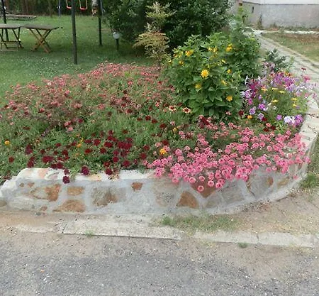 Surf מלון פרימורסקו