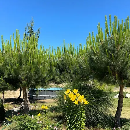 Surf מלון פרימורסקו